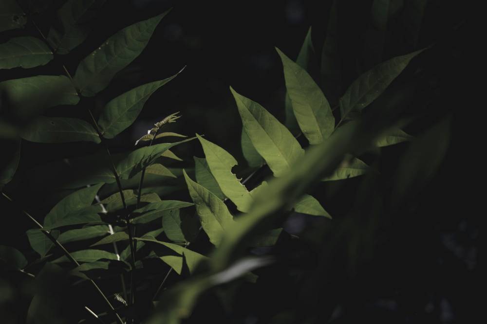 Inertia image. © Pexels